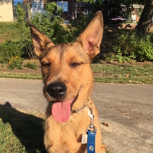 Fundraising Page: annette papizzo-petrie